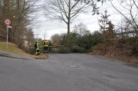 02_2010_Baum_auf_Strasse 05